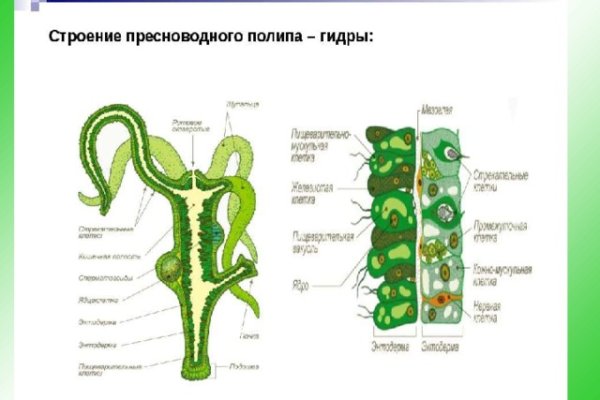 Ссылки тор браузер