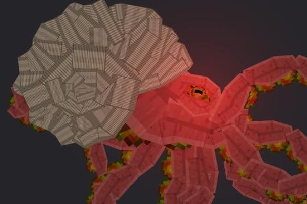 Vk5 at kraken